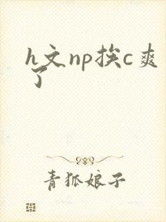 h文np挨c爽了