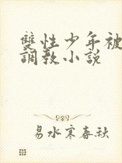 双性少年被主人调教小说