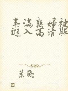 丰满熟妇被猛烈进入高清版封面