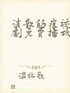 消散的痕迹电视剧免费播放封面