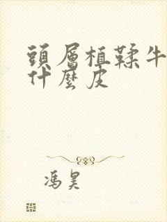 头层植鞣牛皮是什么皮