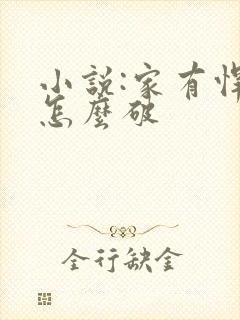 小说:家有悍妻怎么破