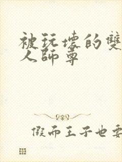 被玩坏的双性美人师尊封面