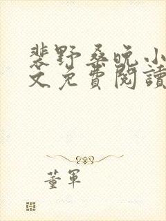 裴野桑晚小说全文免费阅读最新章节