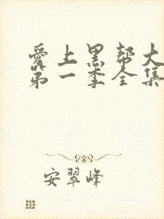 爱上黑帮大佬的第一季全集免费观看