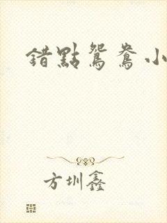错点鸳鸯小说封面