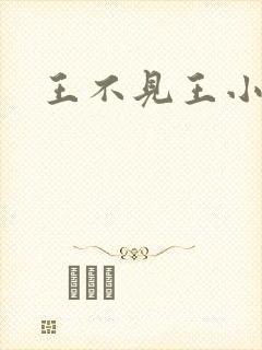 王不见王小说