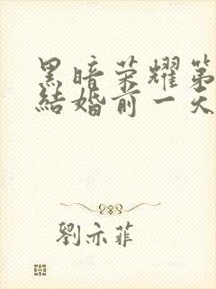 黑暗荣耀第二季结婚前一天