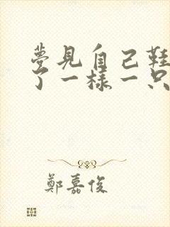 梦见自己鞋穿错了一样一只