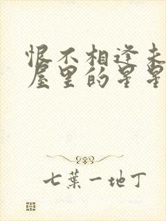 恨不相逢未嫁时屋里的星星笔趣阁封面