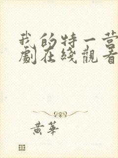 我的特一营电视剧在线观看