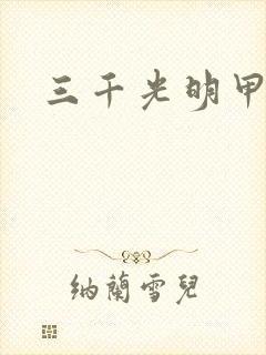 三千光明甲
