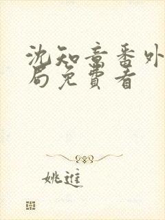 沈知意番外大结局免费看封面