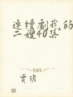 连续剧我的二哥二嫂40集