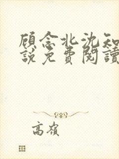 顾念北沈知宁小说免费阅读最新章节