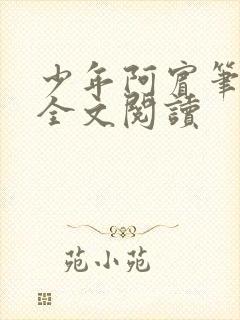 少年阿宾笔趣阁全文阅读