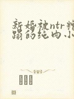 新婚被ntr糟蹋的纯肉小说