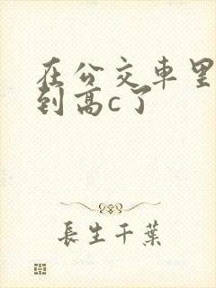 在公交车里c弄到高c了