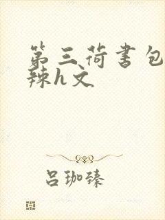 第三荷书包网高辣h文