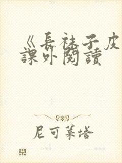 《长袜子皮皮》课外阅读