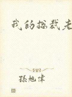 我的总裁老妈封面