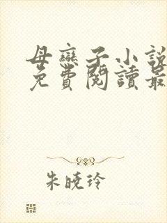 母恋子小说全文免费阅读最新章节封面