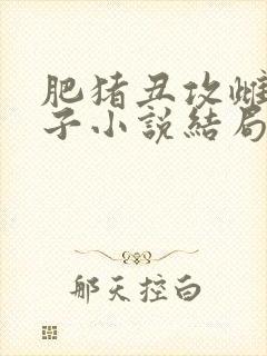 肥猪丑攻雌堕生子小说结局