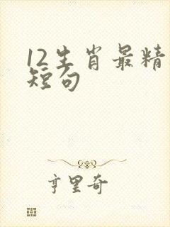 12生肖最精辟短句