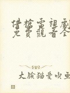 借枪电视剧高清免费观看全集