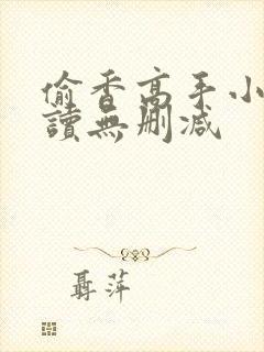 偷香高手小说阅读无删减封面