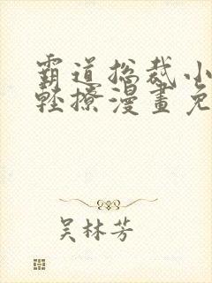 霸道总裁小叔请轻撩漫画免费下拉式六漫画封面