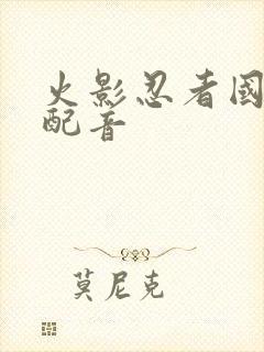 火影忍者国语版配音封面