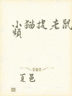 小猫捉老鼠的视频封面