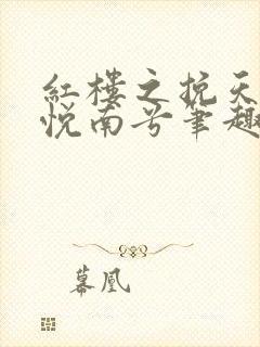 红楼之挽天倾林悦南兮笔趣阁