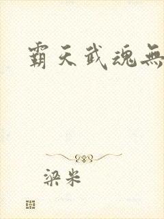 霸天武魂无弹窗