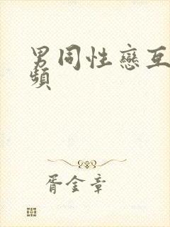 男同性恋互摸视频