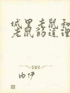 城里老鼠和乡里老鼠的道理封面