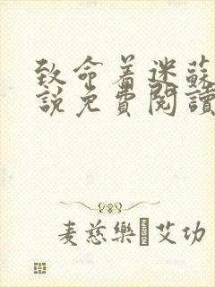 致命着迷苏柔小说免费阅读封面