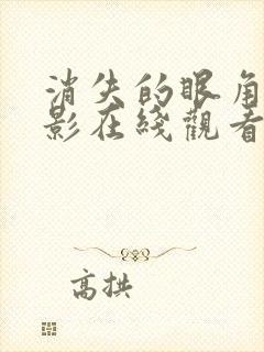 消失的眼角膜电影在线观看完整版封面