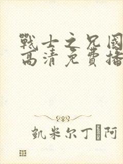 战士之兄国语版高清免费播放