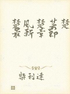 楚风楚芸楚鸿飞最新章节