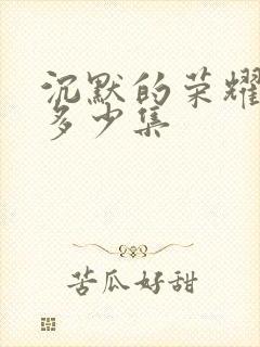 沉默的荣耀一共多少集