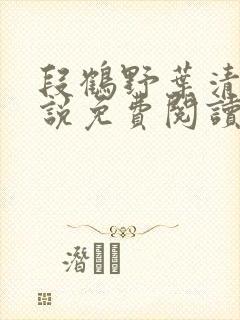段鹤野叶清璃小说免费阅读最新章节封面