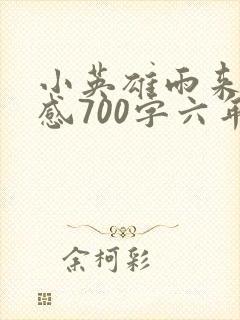 小英雄雨来读后感700字六年级