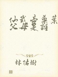 仙武帝尊叶辰的父母是谁封面