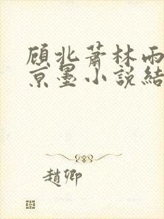 顾北萧林雨菲谢京墨小说结局