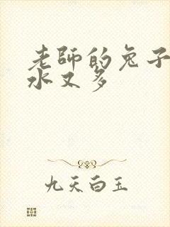 老师的兔子又软水又多