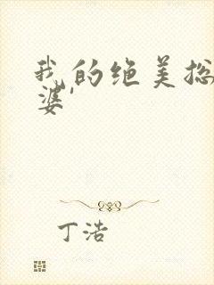 我的绝美总裁老婆'