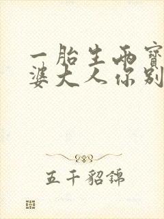 一胎生两宝,老婆大人你别逃