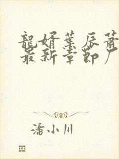 龙婿叶辰萧初然最新章节厂